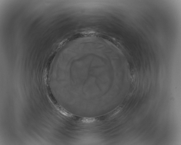 X0000078840767200612111555