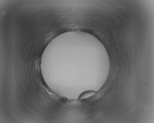 X0000078840768200612111555