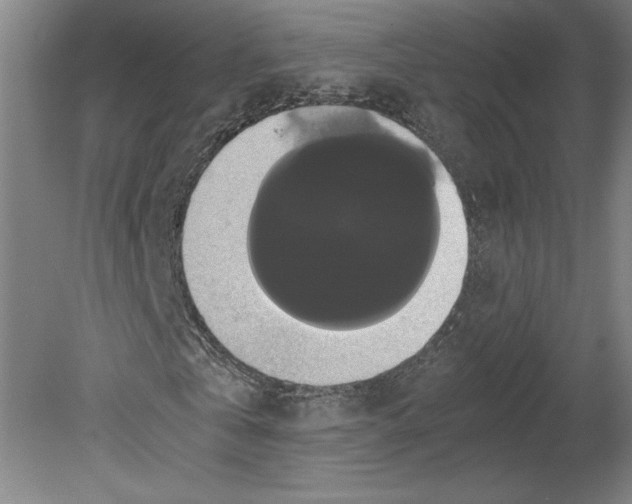 X0000078840769200612111554