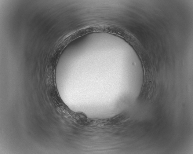 X0000078840773200612111554