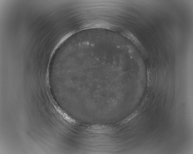 X0000078840780200612111554