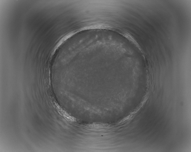 X0000078840781200612111554