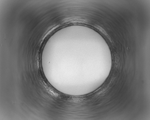 X0000078840782200612111554