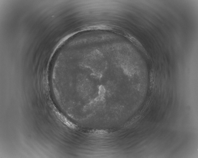 X0000078840784200612111554