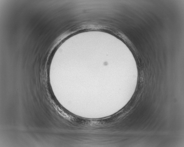 X0000078840787200612111554