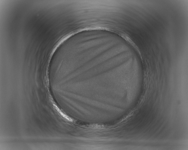 X0000078840789200612111554