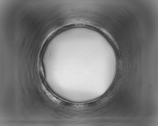 X0000078840791200612111554