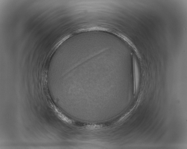 X0000078840793200612111554