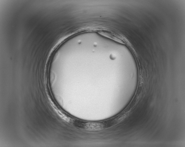 X0000078840795200612111554