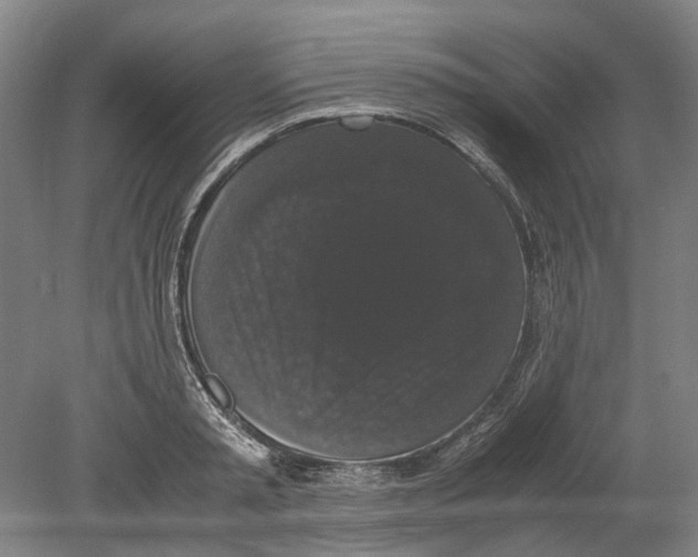 X0000078840797200612111554