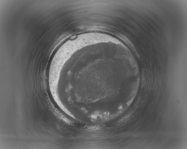 X0000078840798200612111554