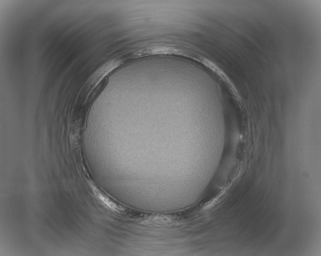 X0000078840801200612111554