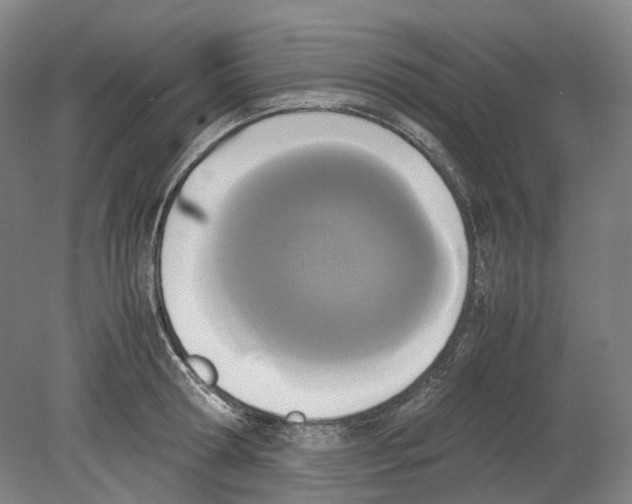 X0000078840802200612111554