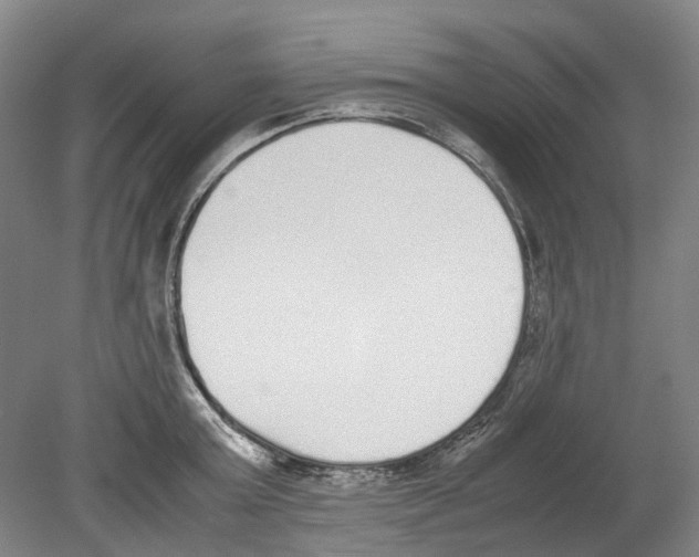 X0000078840803200612111554