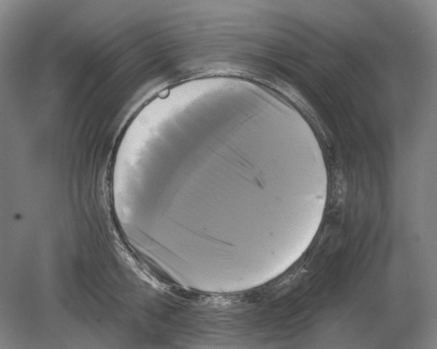 X0000078840806200612111554