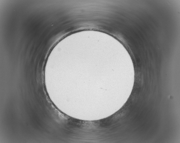 X0000078840807200612111554