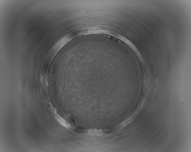 X0000078840809200612111554