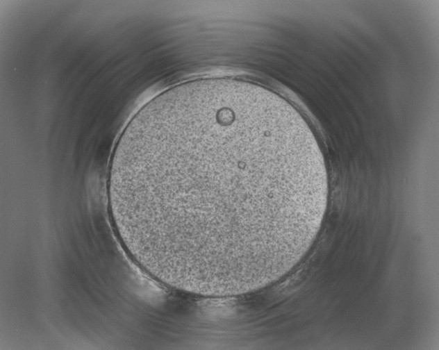 X0000078840810200612111554