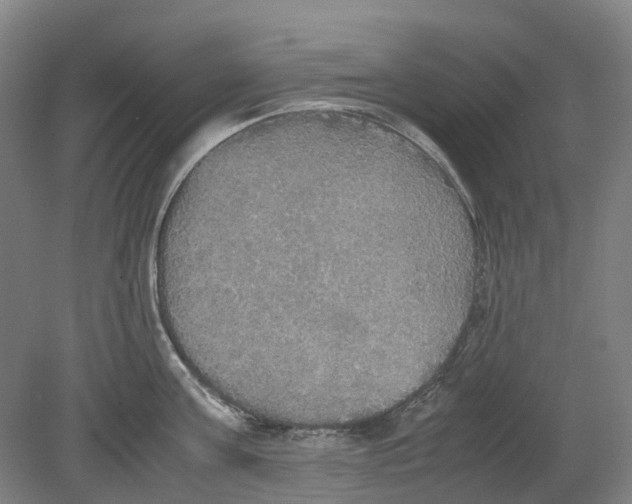 X0000078840811200612111554