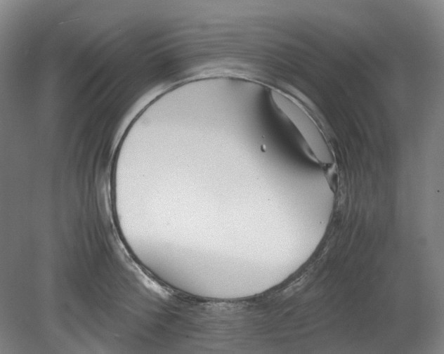 X0000078840812200612111554