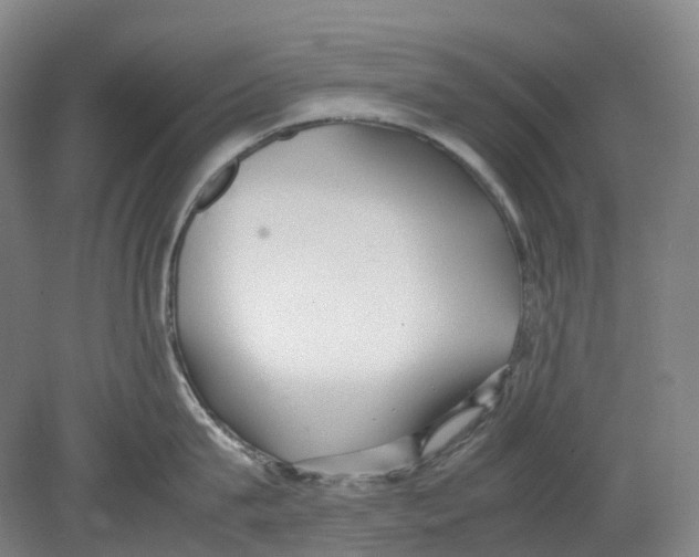 X0000078840815200612111554