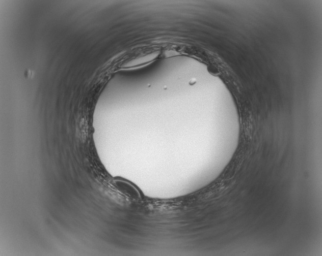 X0000078840821200612111553