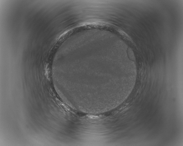 X0000078840822200612111553