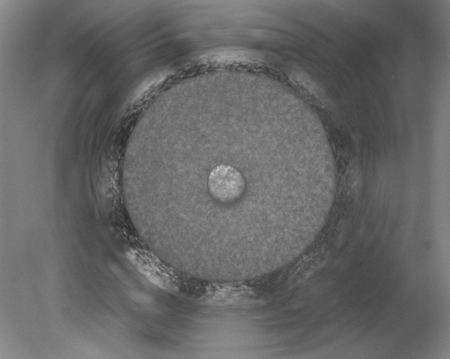 X0000078840824200612111553