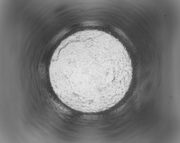 X0000078840825200612111553