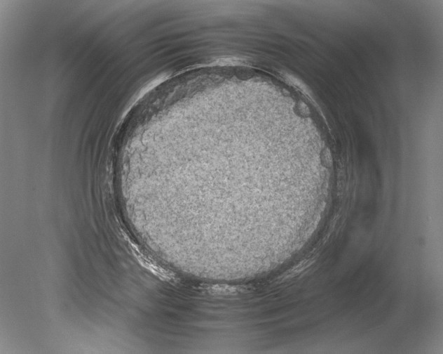 X0000078840827200612111553