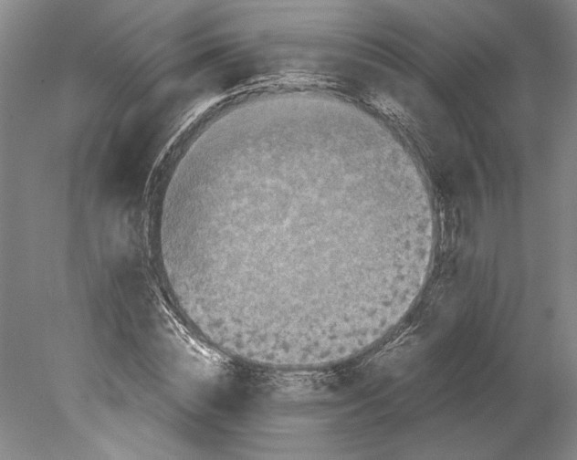 X0000078840828200612111553