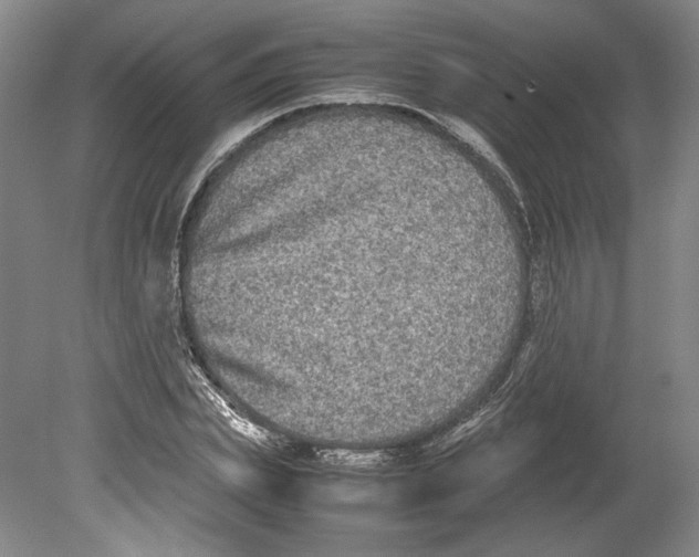 X0000078840831200612111553