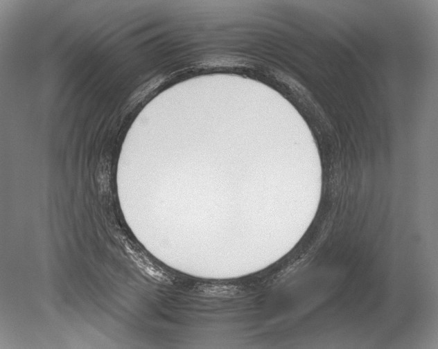 X0000078840833200612111553