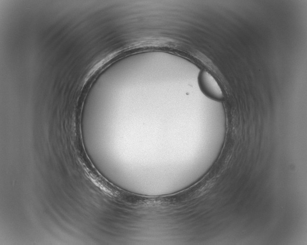 X0000078840834200612111553