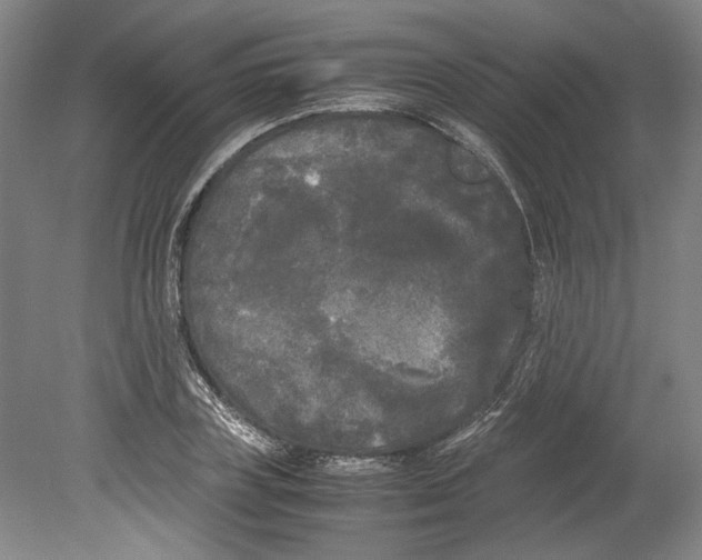 X0000078840835200612111553