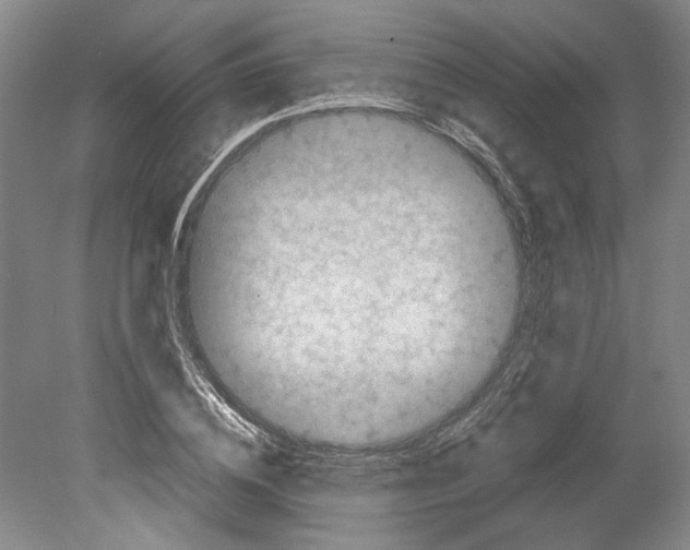 X0000078840836200612111553