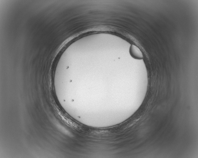 X0000078840837200612111553