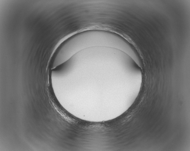 X0000078840838200612111553