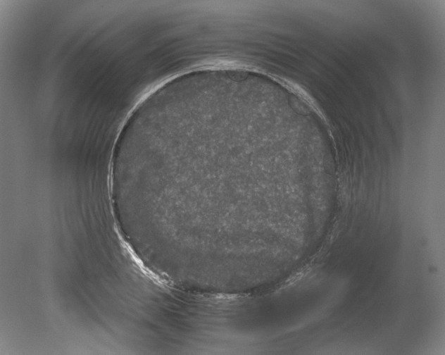 X0000078840839200612111553