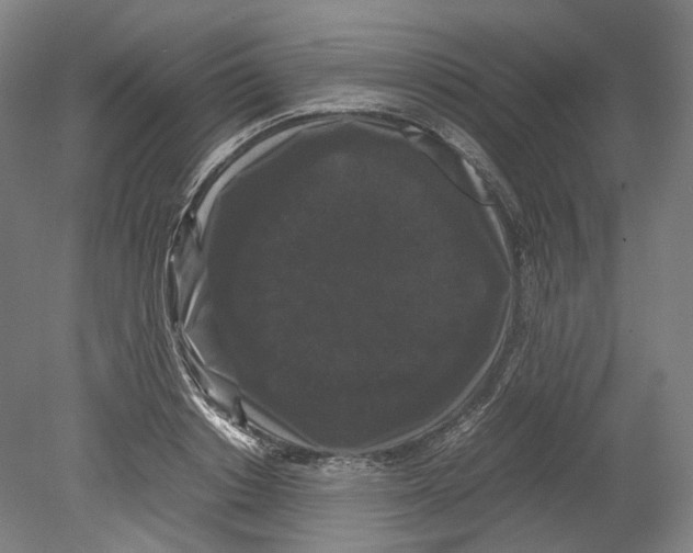 X0000078840842200612111553