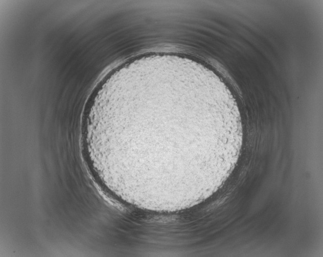 X0000078840845200612111553