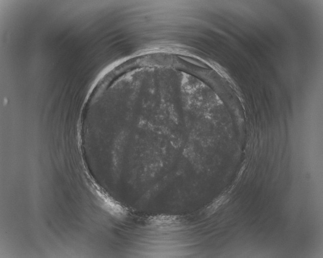 X0000078840846200612111553