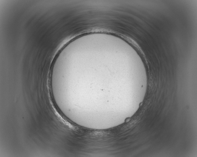 X0000078840847200612111553