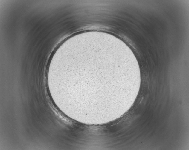 X0000078840848200612111553