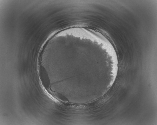 X0000078840851200612111553