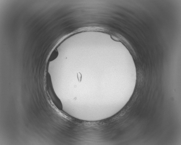 X0000078840852200612111553