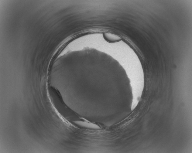 X0000078840853200612111553