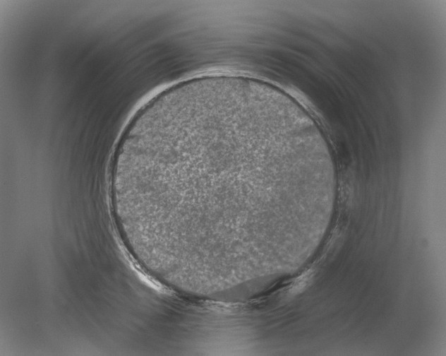 X0000078840854200612111553