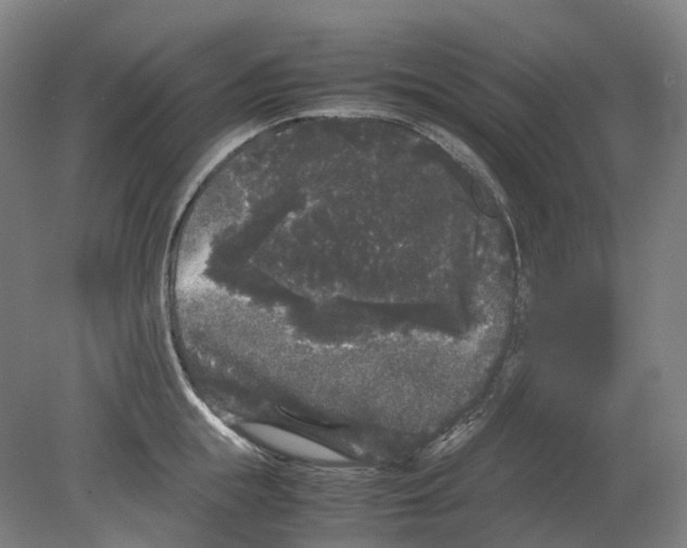 X0000078840855200612111553