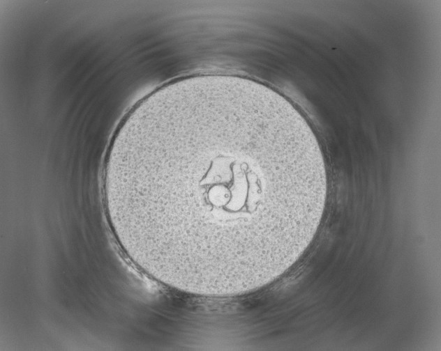 X0000078840856200612111553